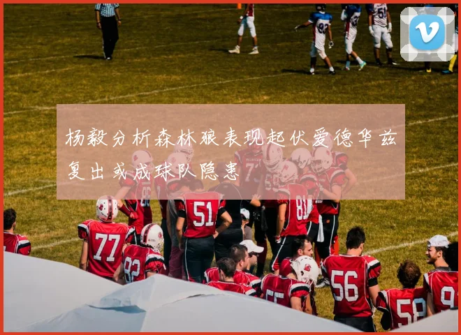 杨毅分析森林狼表现起伏爱德华兹复出或成球队隐患